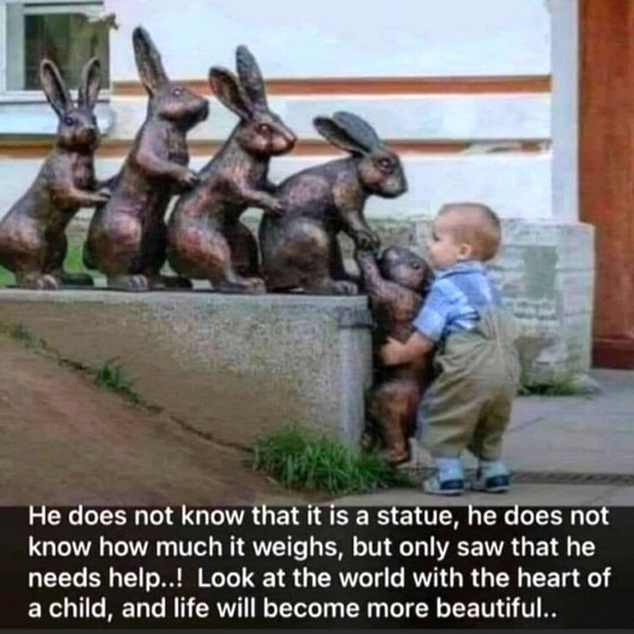 Meet your Posher, Dyan - Picture 10 of 11